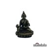 medicine buddha front